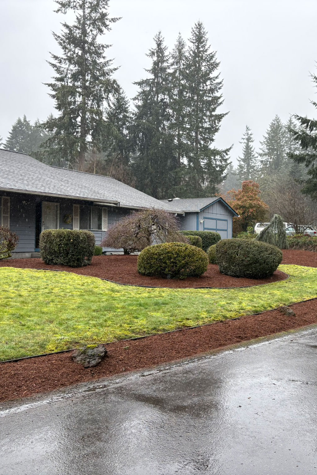 Mowing, edge & surface blow off